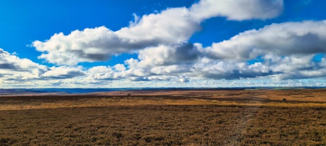 Blacka Moor Nature Reserve 7