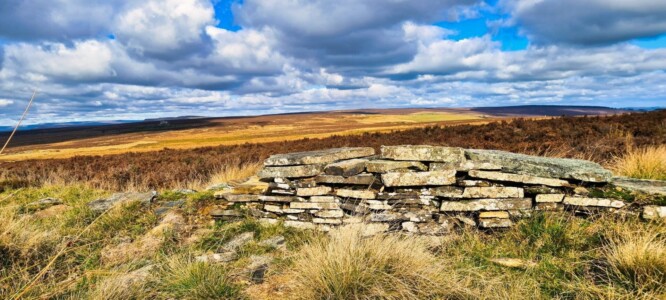 Blacka Moor Nature Reserve 3