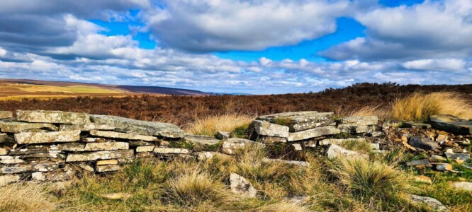 Blacka Moor Nature Reserve 13