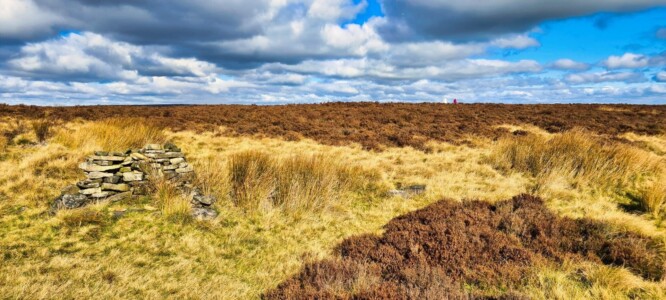 Blacka Moor Nature Reserve 10