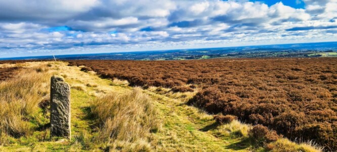 Blacka Moor Nature Reserve 12