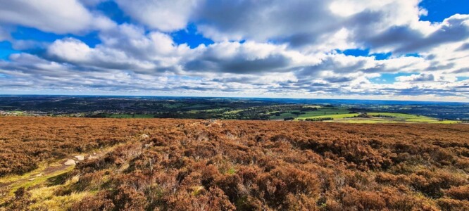 Blacka Moor Nature Reserve 6
