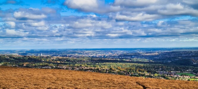 Blacka Moor Nature Reserve 5