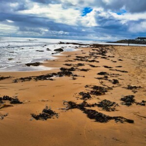 Brora Beach 1