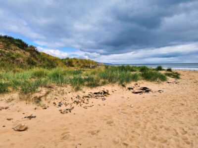 Brora Beach 8
