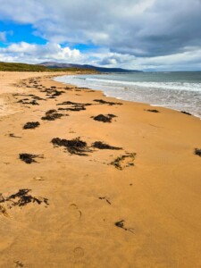 Brora Beach 10