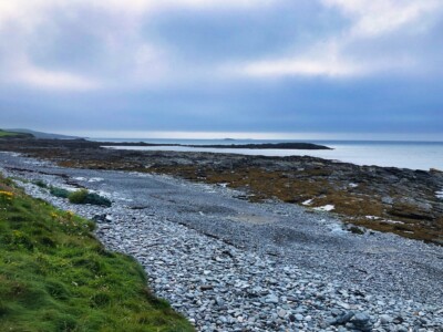 Cemlyn Nature Reserve 7