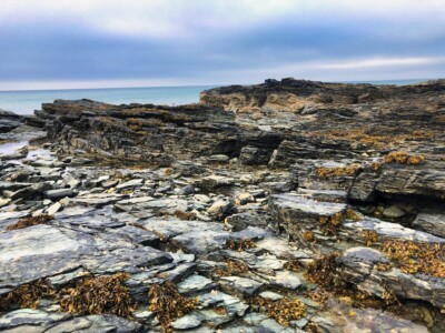 Cemlyn Nature Reserve 1