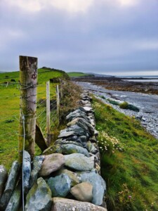 Cemlyn Nature Reserve 5