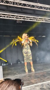 Chesterfield Pride 10