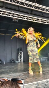 Chesterfield Pride 6