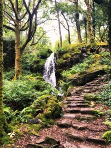 Craflwyn and Beddgelert 12