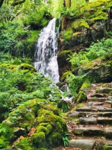 Craflwyn and Beddgelert 6