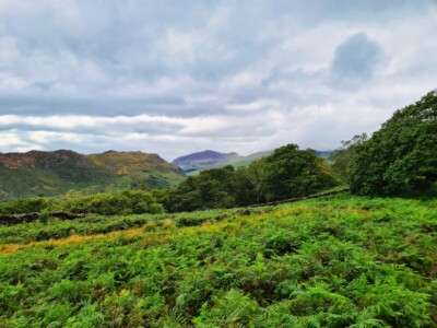 Craflwyn and Beddgelert 1