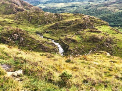 Craflwyn and Beddgelert 10