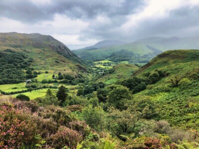 Craflwyn and Beddgelert 9