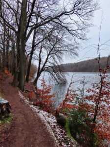 Damflask Reservoir 3