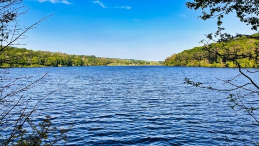 Damflask Reservoir 9