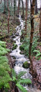 Damflask Reservoir 6