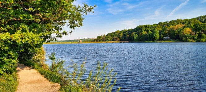 Damflask Reservoir 14