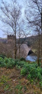 Derwent Reservoir 8