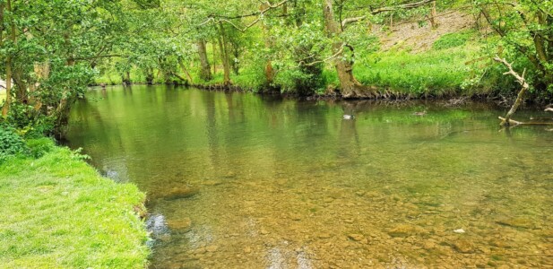 Dovedale 1
