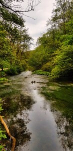 Dovedale 13