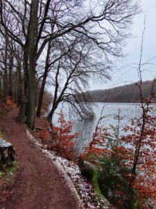 Damflask Reservoir 4