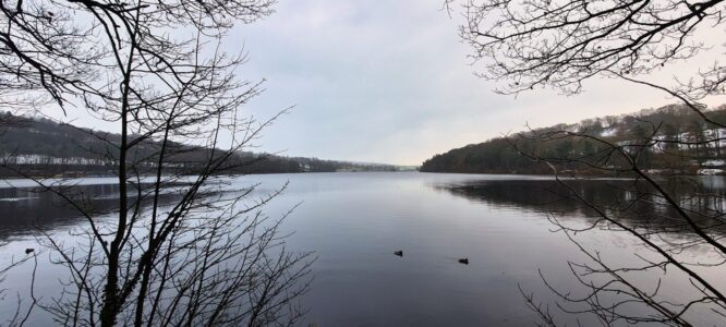 Damflask Reservoir 5