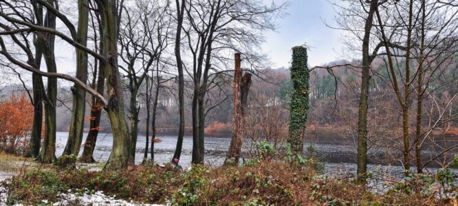Damflask Reservoir 18