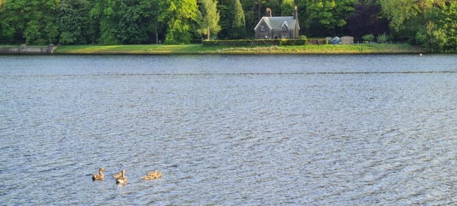Damflask Reservoir 20