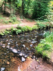 Fairy Glen 13