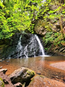 Fairy Glen 12