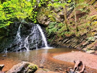 Fairy Glen 16