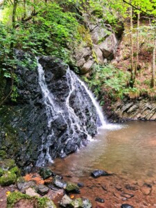 Fairy Glen 19
