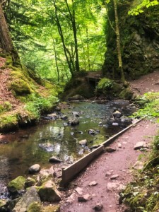 Fairy Glen 21