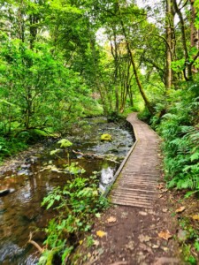 Fairy Glen 2