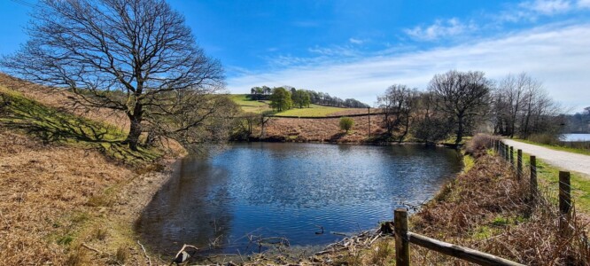 Goyt Valley 31