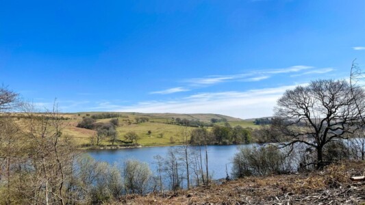Goyt Valley 19