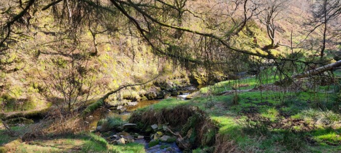 Goyt Valley 22