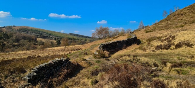 Goyt Valley 34