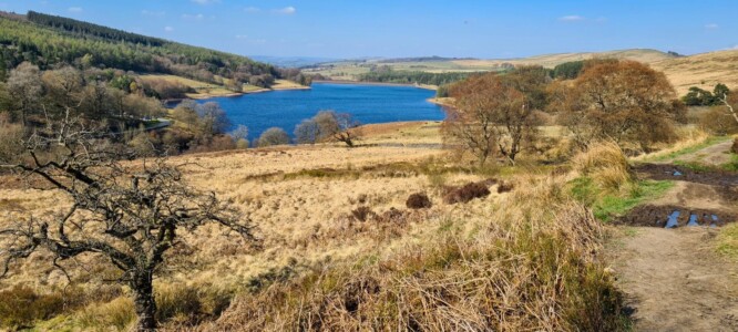 Goyt Valley 14