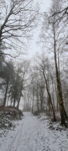 Greno Wood 13