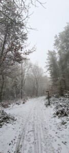 Greno Wood 12