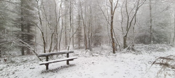 Greno Wood 6