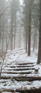 Greno Wood 11