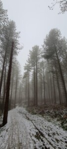 Greno Wood 7