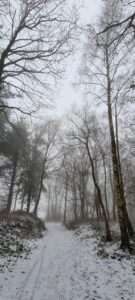 Greno Wood 14