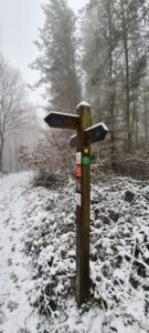 Greno Wood 11
