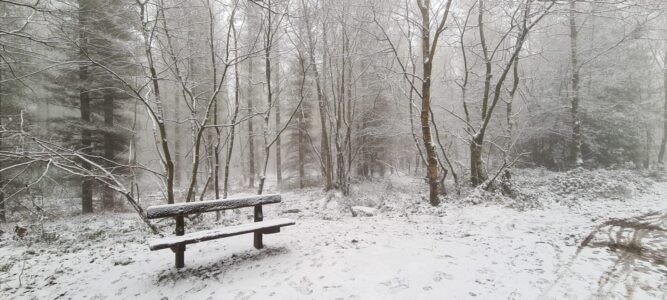 Greno Wood 7